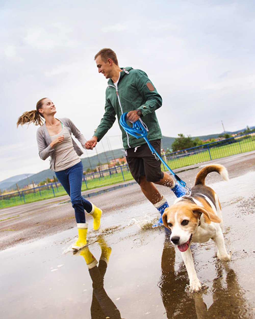 Lanwandeng night safety features boost visibility for dogs after dark.