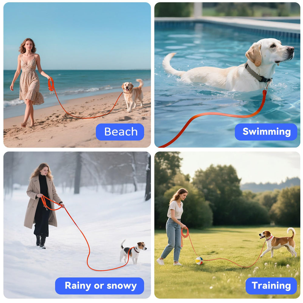 Lanwandeng orange 50ft leash demonstrates visibility and extended range for active dogs.