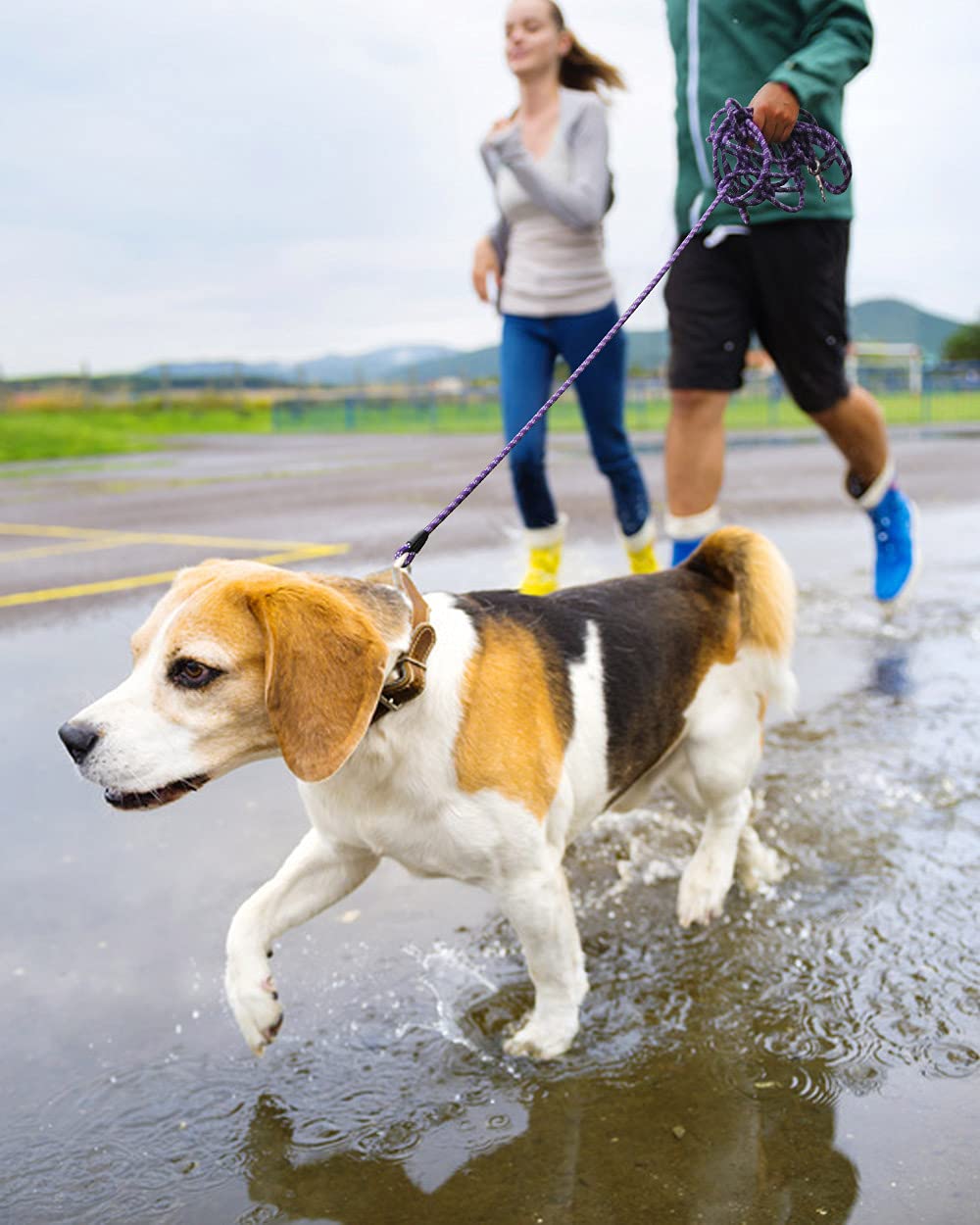 Lanwandeng versatile leash suitable for large and small dogs