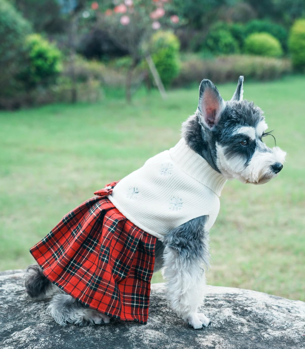 Lanyarco Christmas party dog sweater model wearing for holiday photos