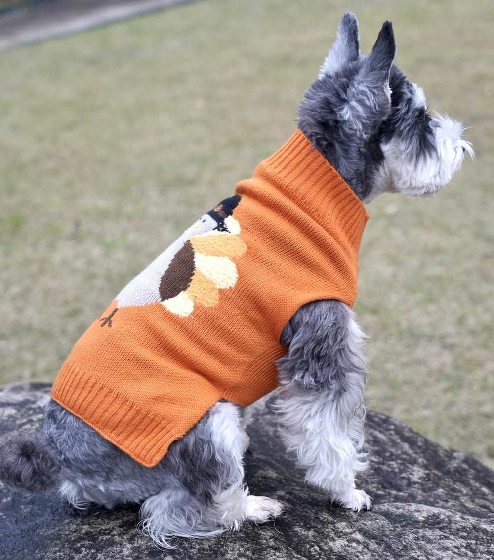 Lanyarco holiday-ready dog sweater is perfect for photo sessions and cozy lounging.