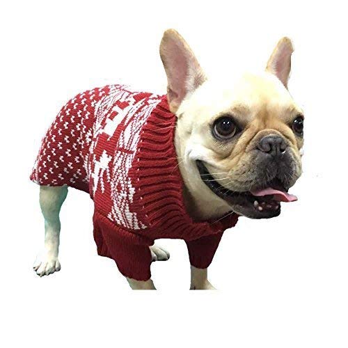 Lanyarco holiday photo-ready look during family celebrations.