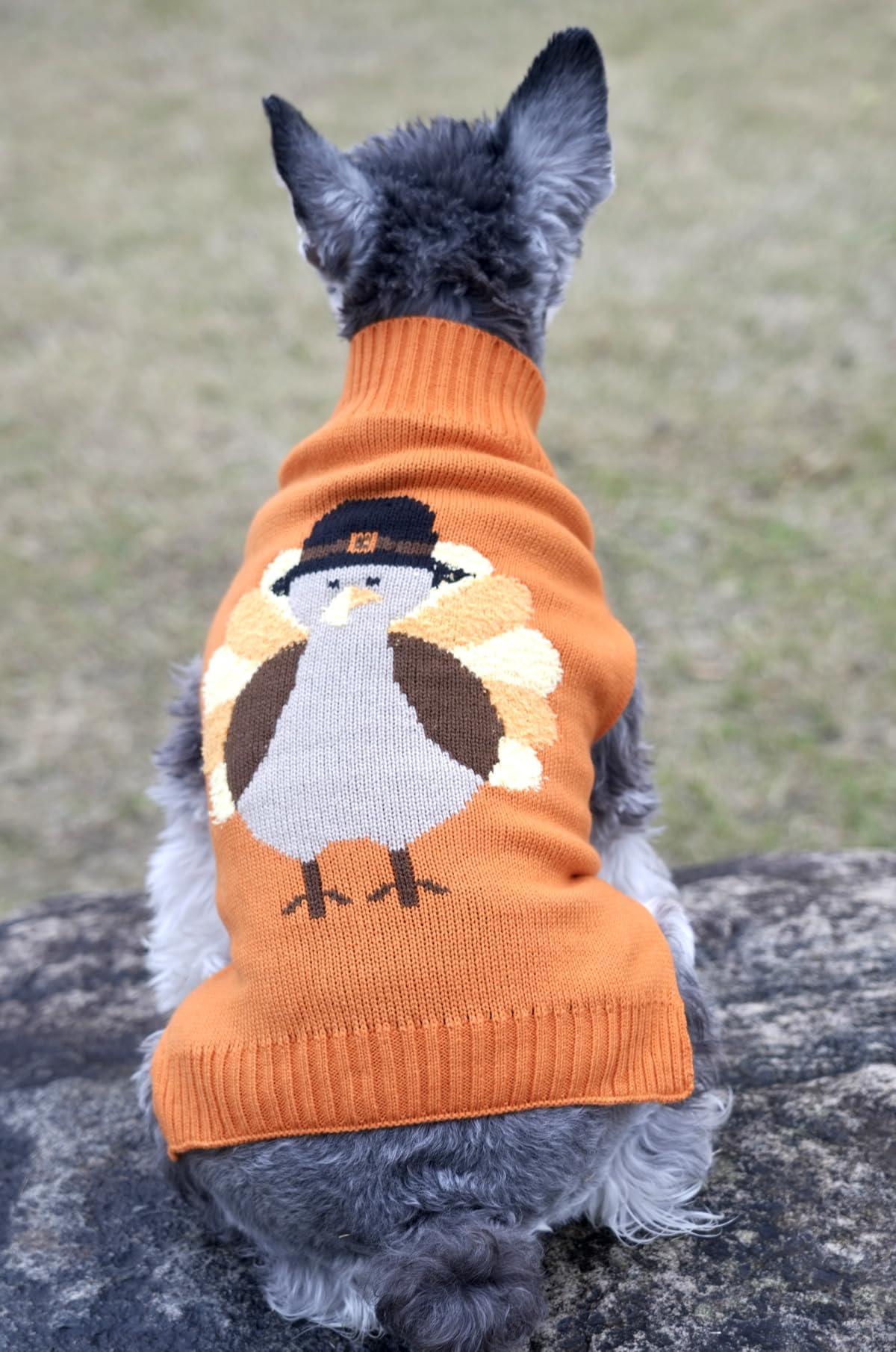 Lanyarco machine-washable dog sweater is easy to clean after festive events.
