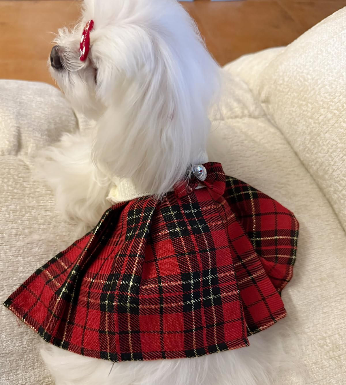 Lanyarco machine-washable dog sweater cold-wash care guide image