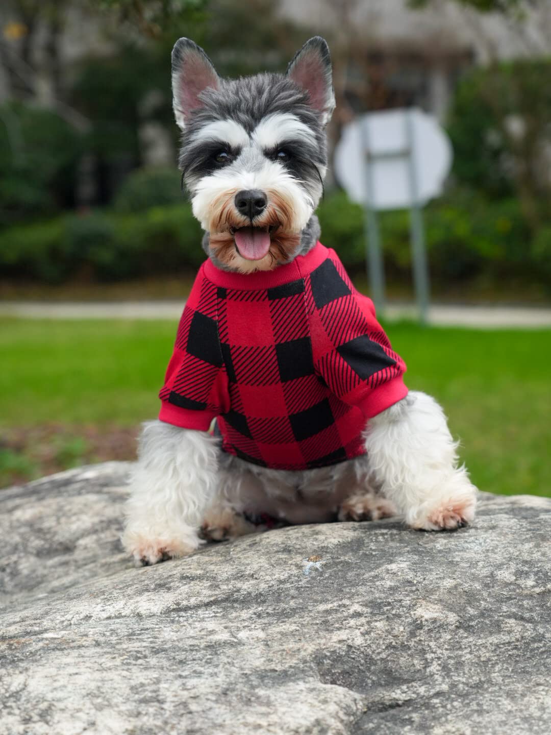 Regalo navideño con estilo: pijama Lanyarco para perros.
