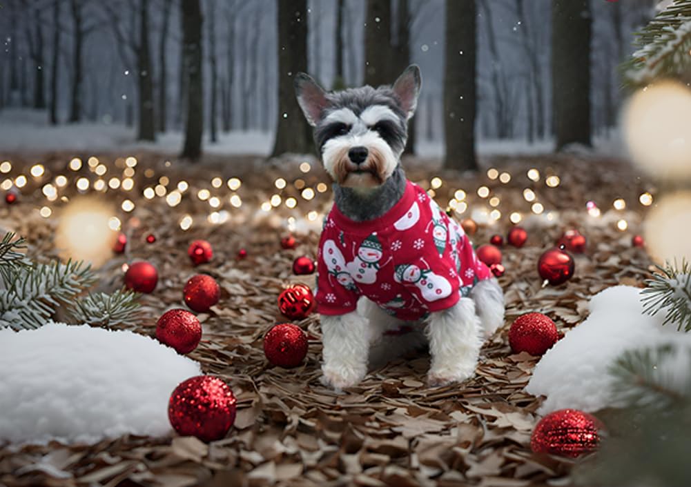 Uso doméstico seguro: pijama Lanyarco para perro, facilita descanso y juego.