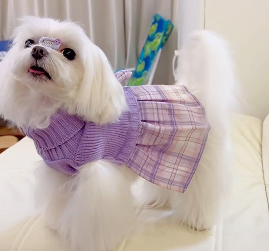 Lanyarco purple dog dress XL leash-hole detail enables easy leash attachment.