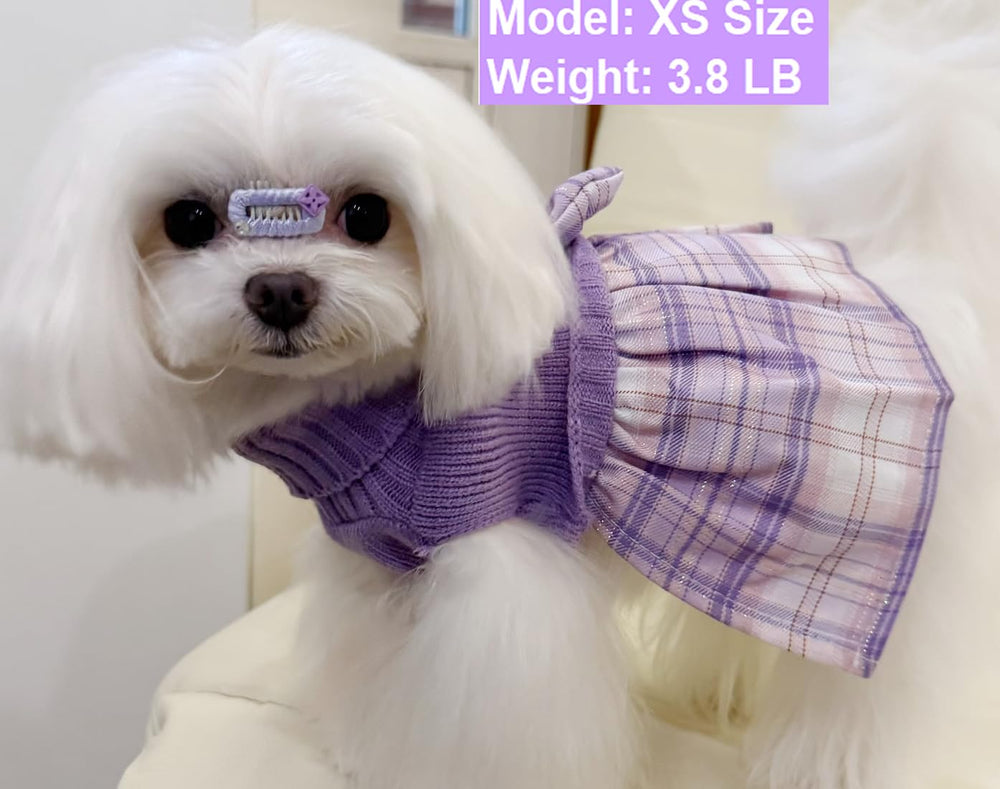 Lanyarco size-chart-and-fit image helps pick the right small dog size.