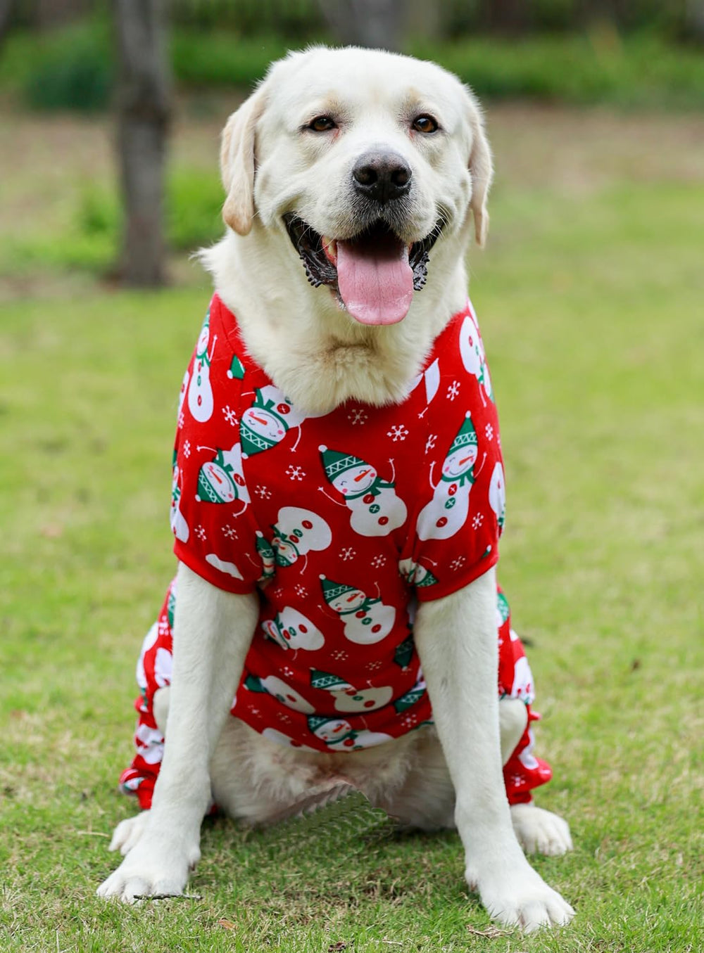 Lanyarco Snowman dog pajamas on dog during holiday photo session red