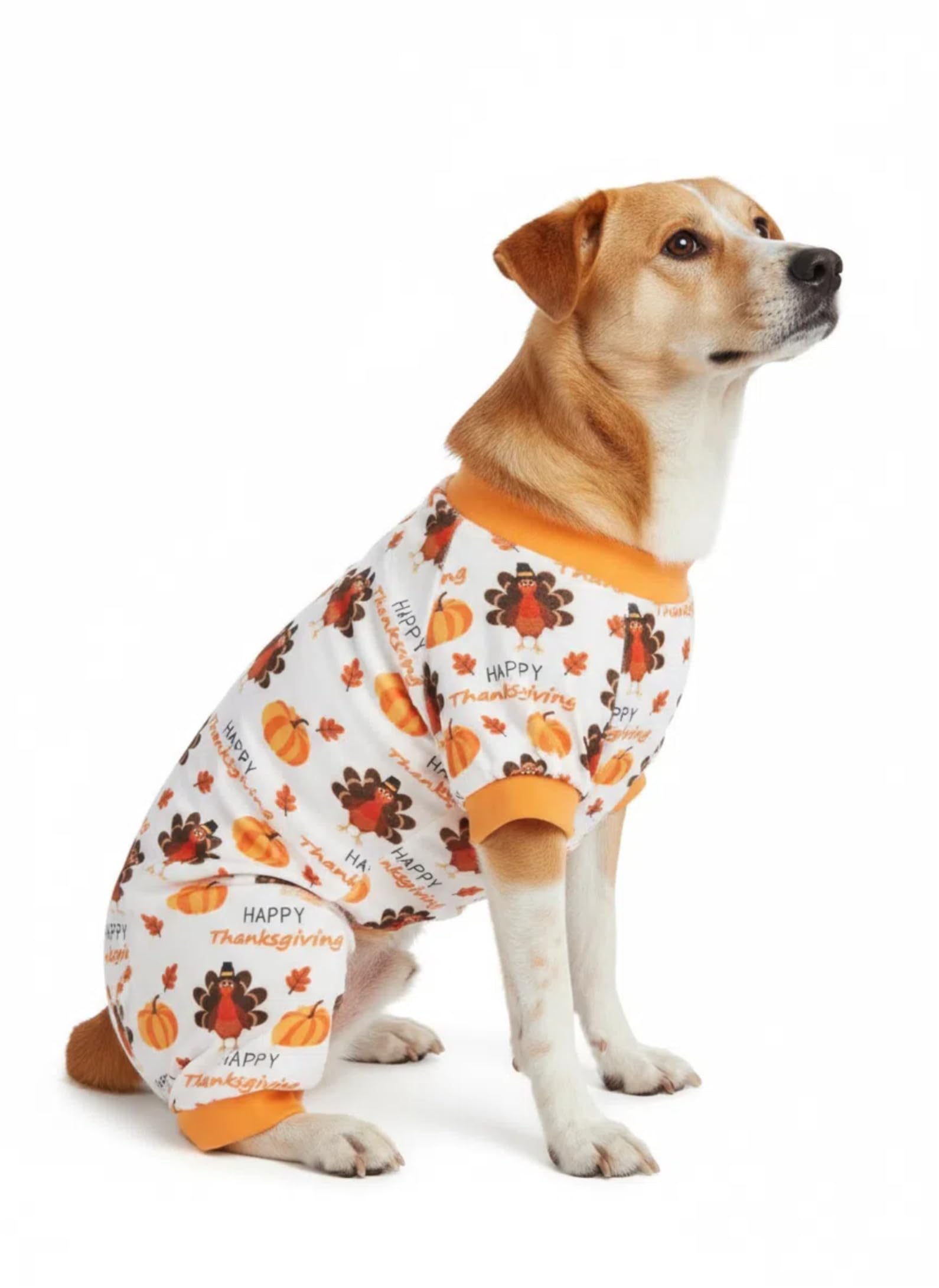 Lanyarco turkey-pumpkin dog pajamas flatlay demonstrates complete outfit ready for cozy holidays.