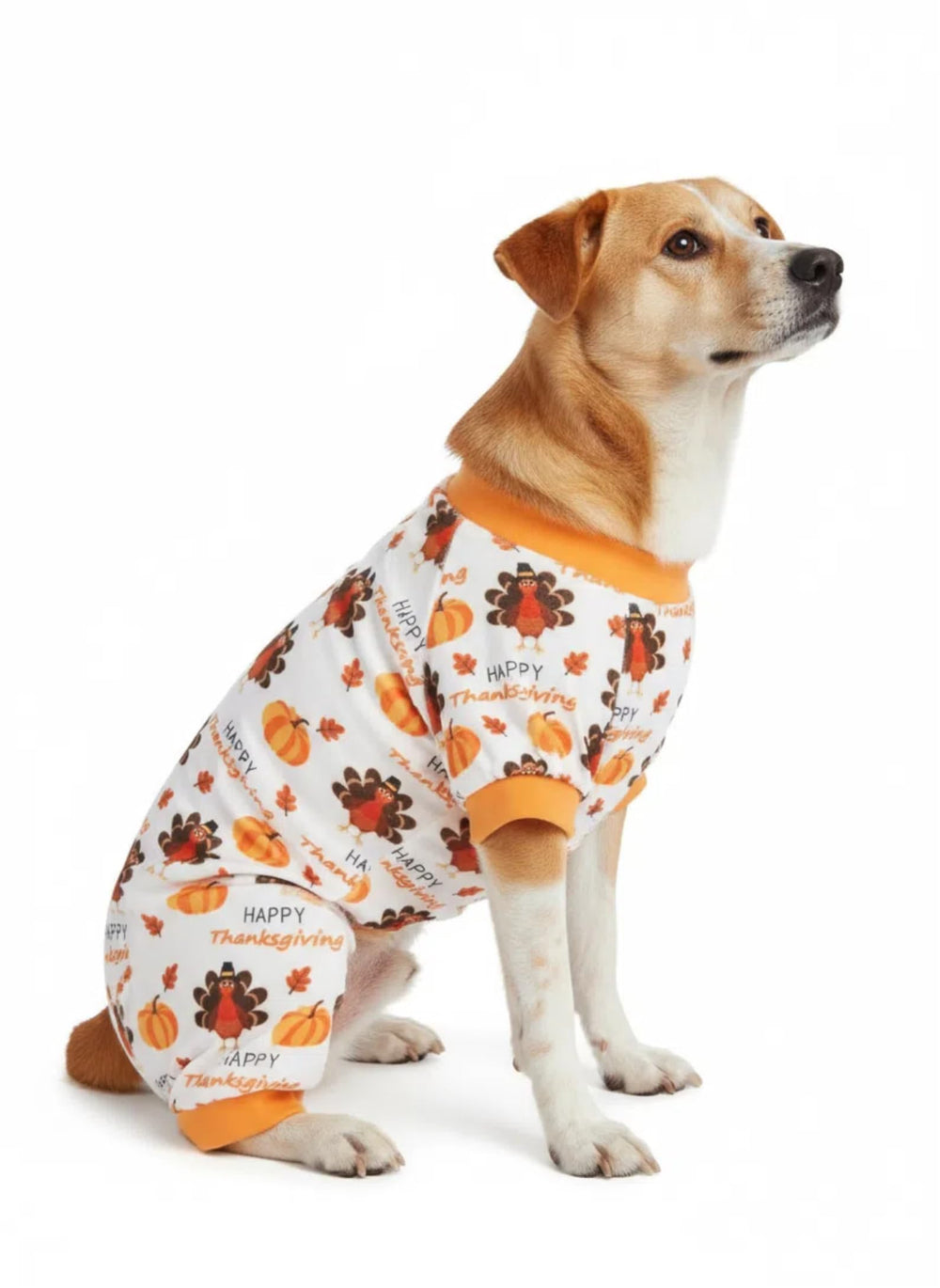 Lanyarco turkey-pumpkin dog pajamas flatlay demonstrates complete outfit ready for cozy holidays.