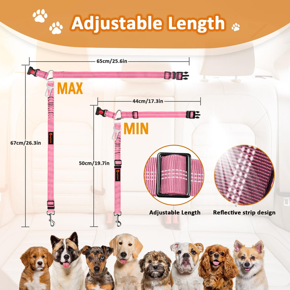 Laqibak bungee reflectante ofrece absorción de tirones y mayor comodidad para el perro.