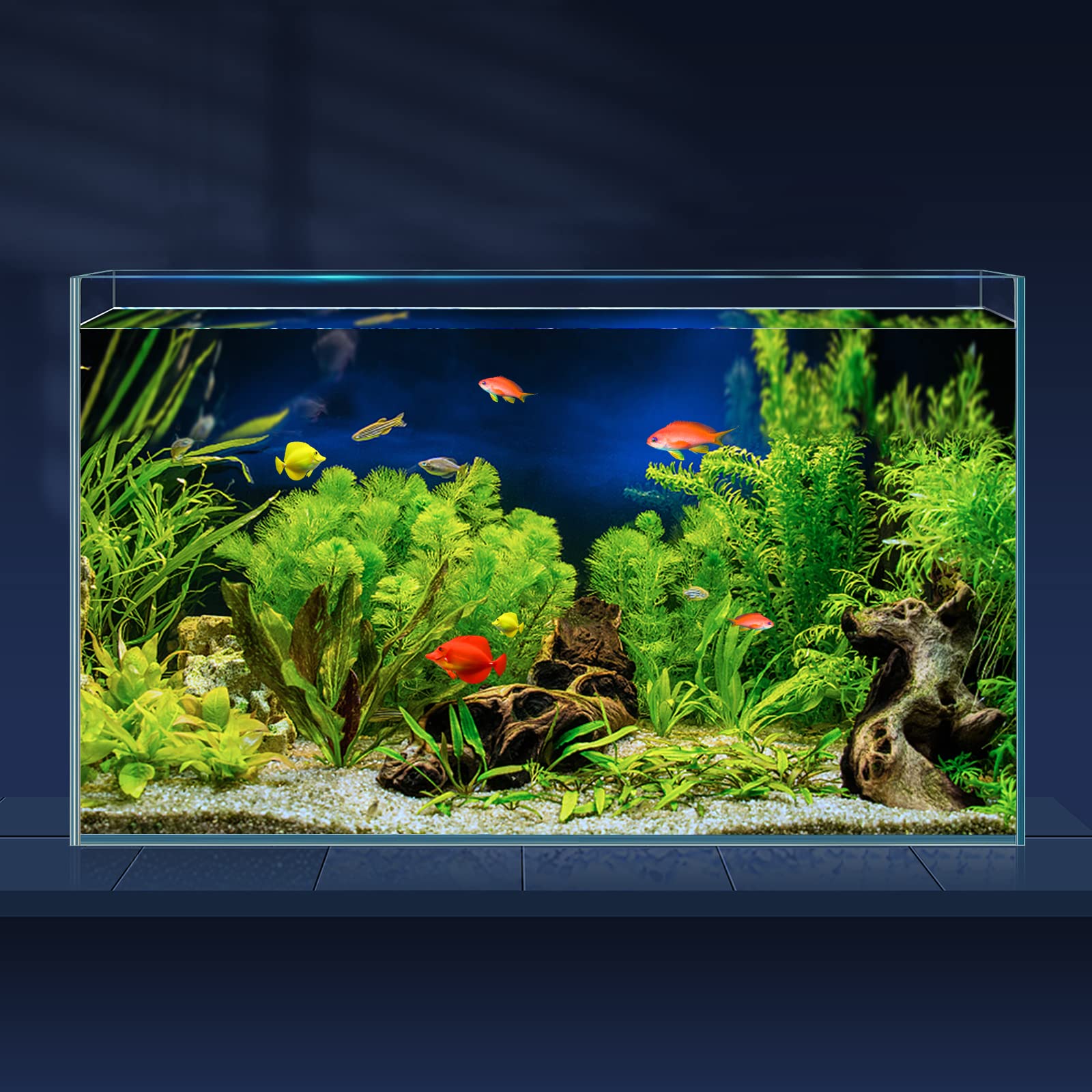 LAQUAL 10-gallon ultra-clear fish tank offers crystal-clear viewing for betta and nano fish
