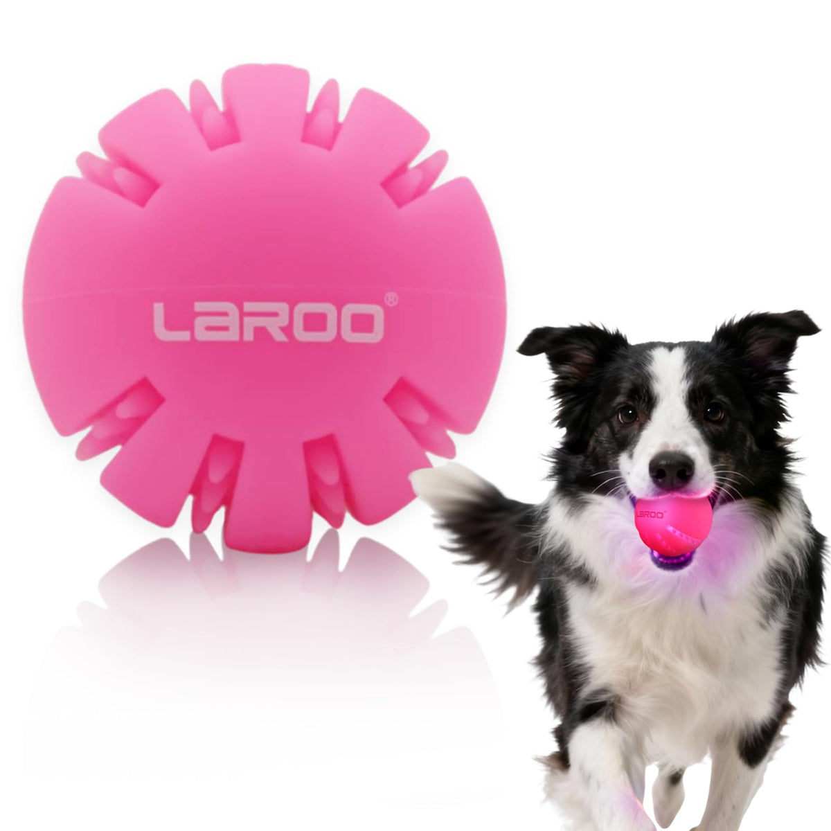 LaRoo LED dog ball rose exterior glowing for night play