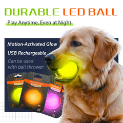 LaRoo LED dog ball glowing during training and fetch
