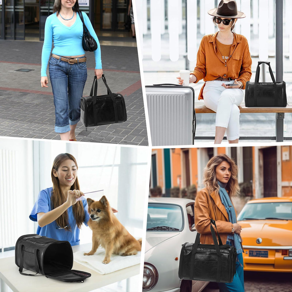 Lasaviin small-pet carrier fits under 15 lbs for quick trips