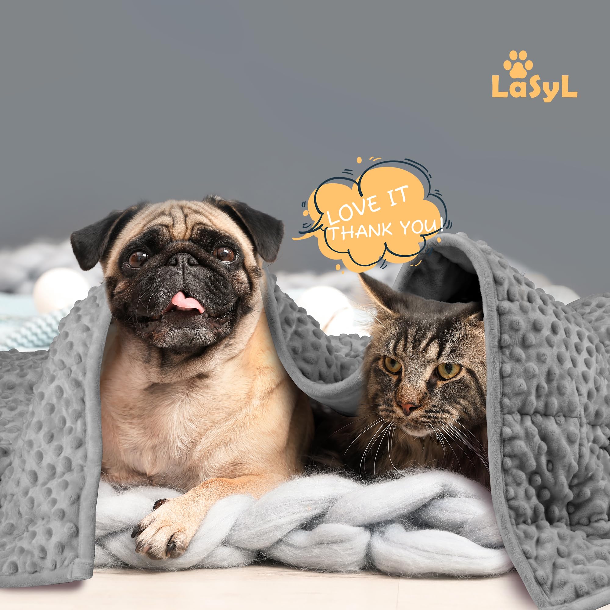 LaSyL compact 32x24 inch pet blanket fits in car, bed, and couch.