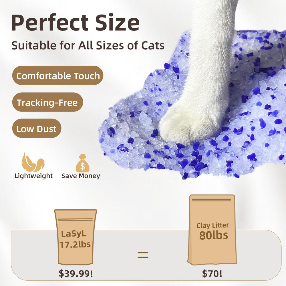 LaSyL litter offers low-dust crystals that minimize tracking for tidy floors.
