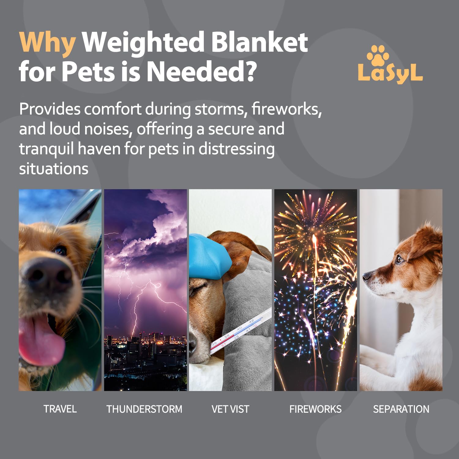 LaSyL Thunder blanket for dogs helps during thunderstorms with cozy double-sided minky.
