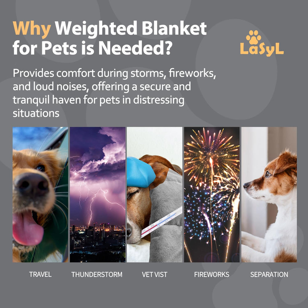 LaSyL Thunder blanket for dogs helps during thunderstorms with cozy double-sided minky.