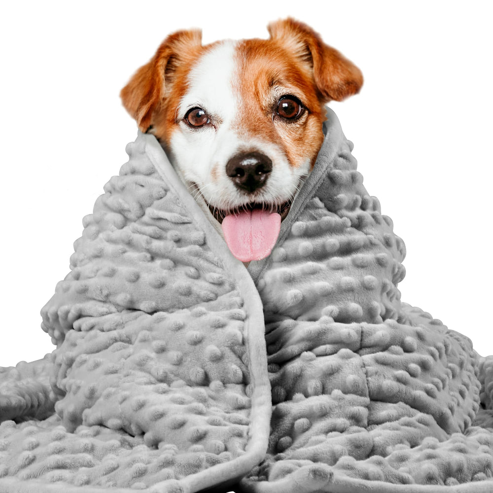 LaSyL weighted blanket for dogs calms restless pets with even weight distribution.