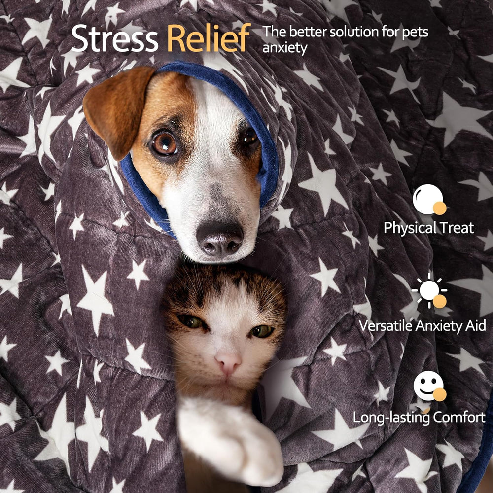 LaSyL weighted blanket blue-grey star pattern—dog lounging supports calm, restful naps.