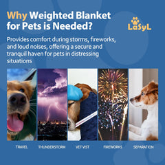 LaSyL weighted blanket for pets on a cat foreground promotes relaxation.