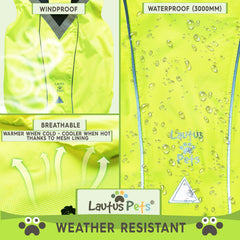 Lautus Pets harness hole design enabling leash attachment during wet walks
