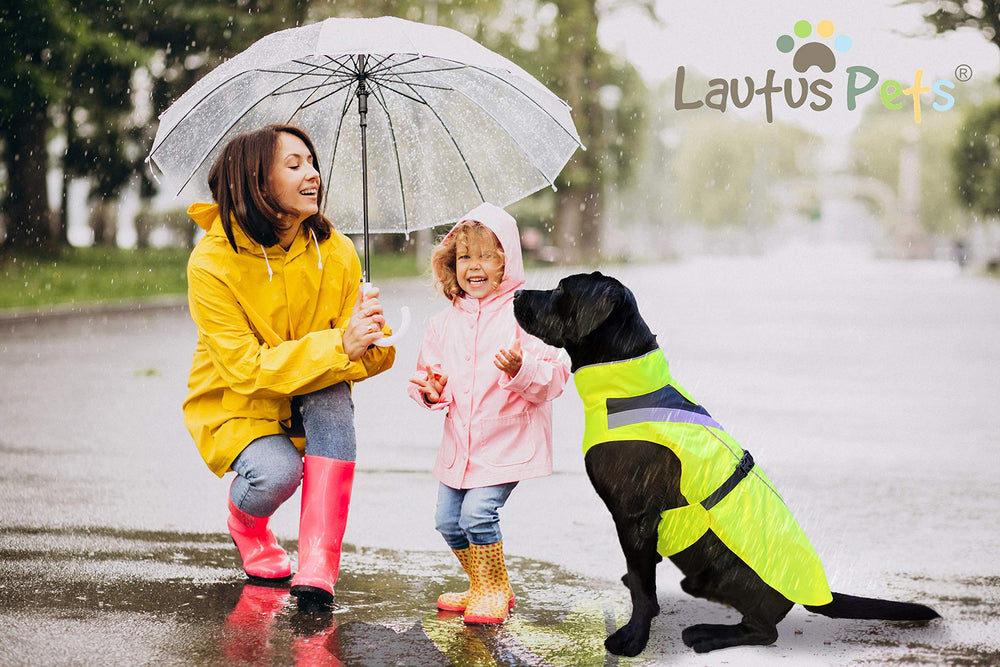 Lautus Pets satisfaction guarantee communicates long-lasting protection expectations
