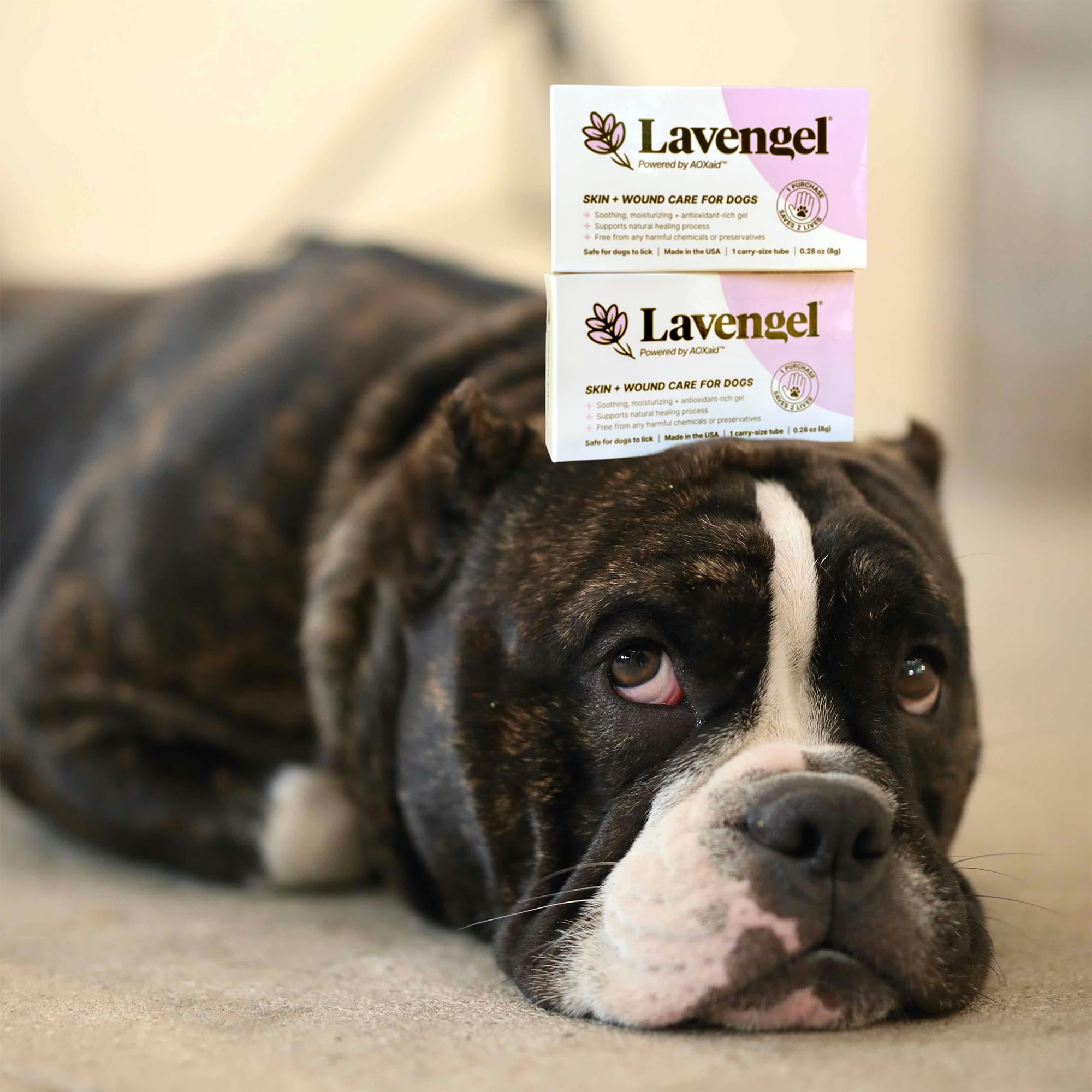 Lavengel first-aid kit inclusion makes at-home pet care easier.