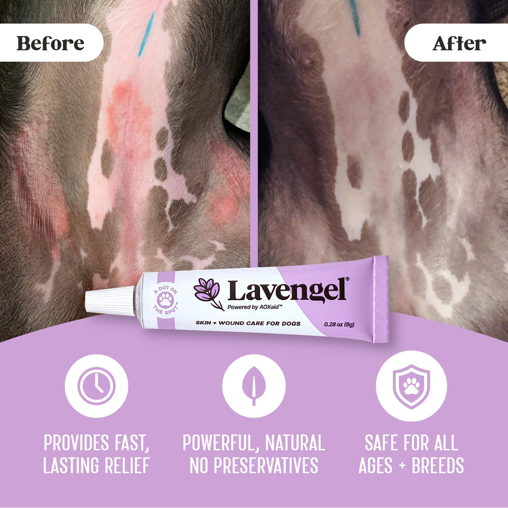 Lavengel dog hot-spot treatment applied to irritated area for quick comfort.