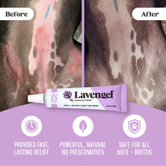 Lavengel dog hot-spot treatment applied to irritated area for quick comfort.