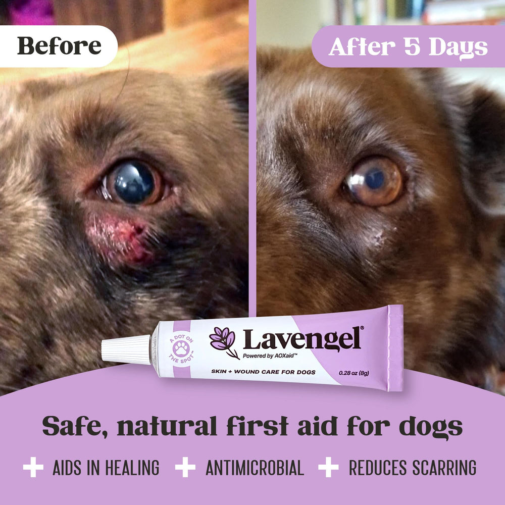 Lavengel dog natural ingredients label emphasizes safe skin-care advantages.