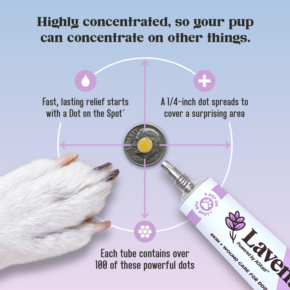 Lavengel dog non-greasy formula allows mess-free application on fur.