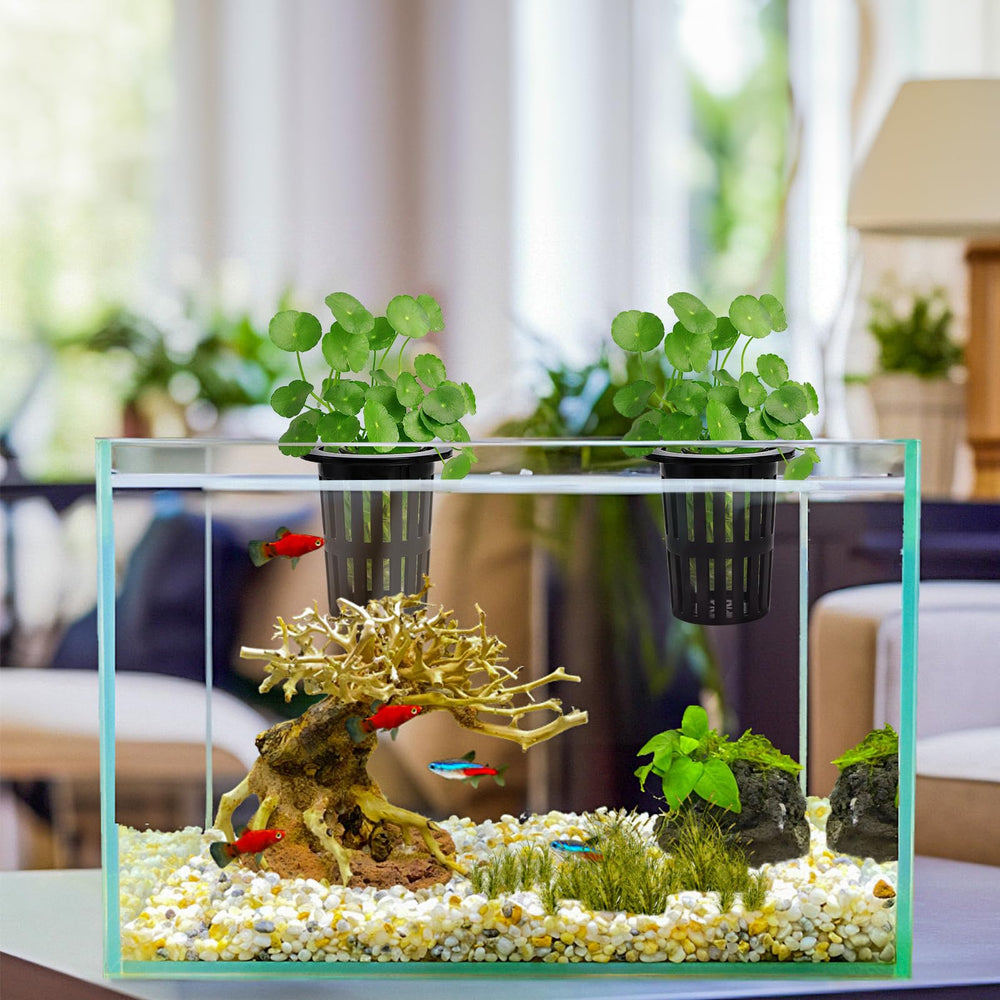 Lawei versatile mounting in rimmed and rimless tanks for plant displays