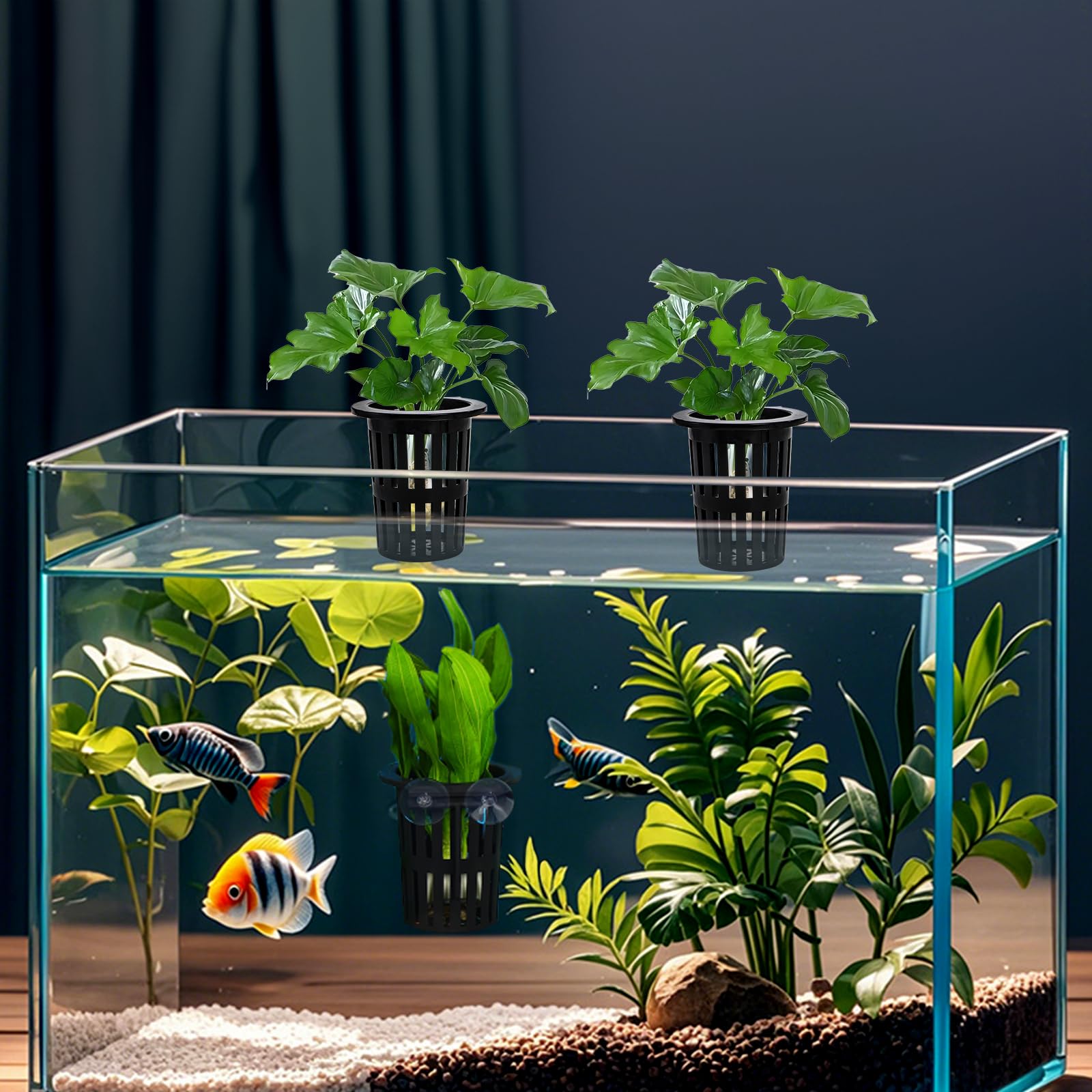 Lawei hanging plant holder enabling decorative display and root-friendly water flow