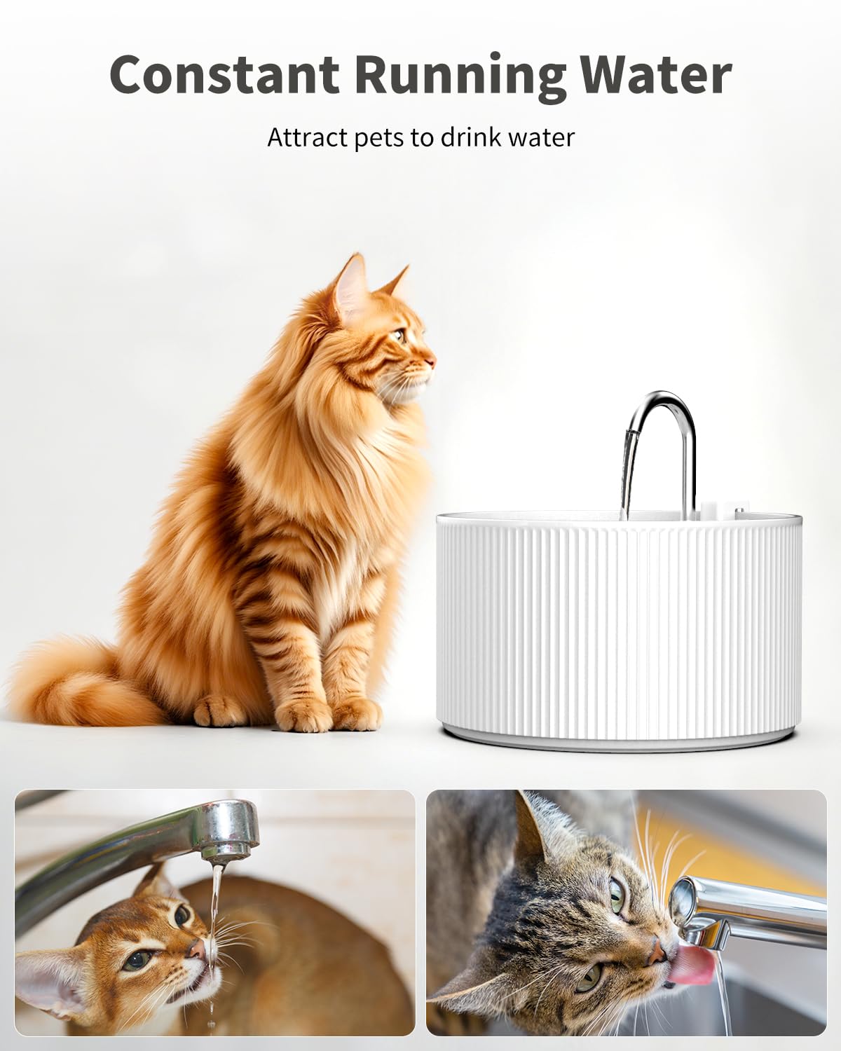 Lawfery easy-clean disassembly shows dishwasher-safe ceramic parts