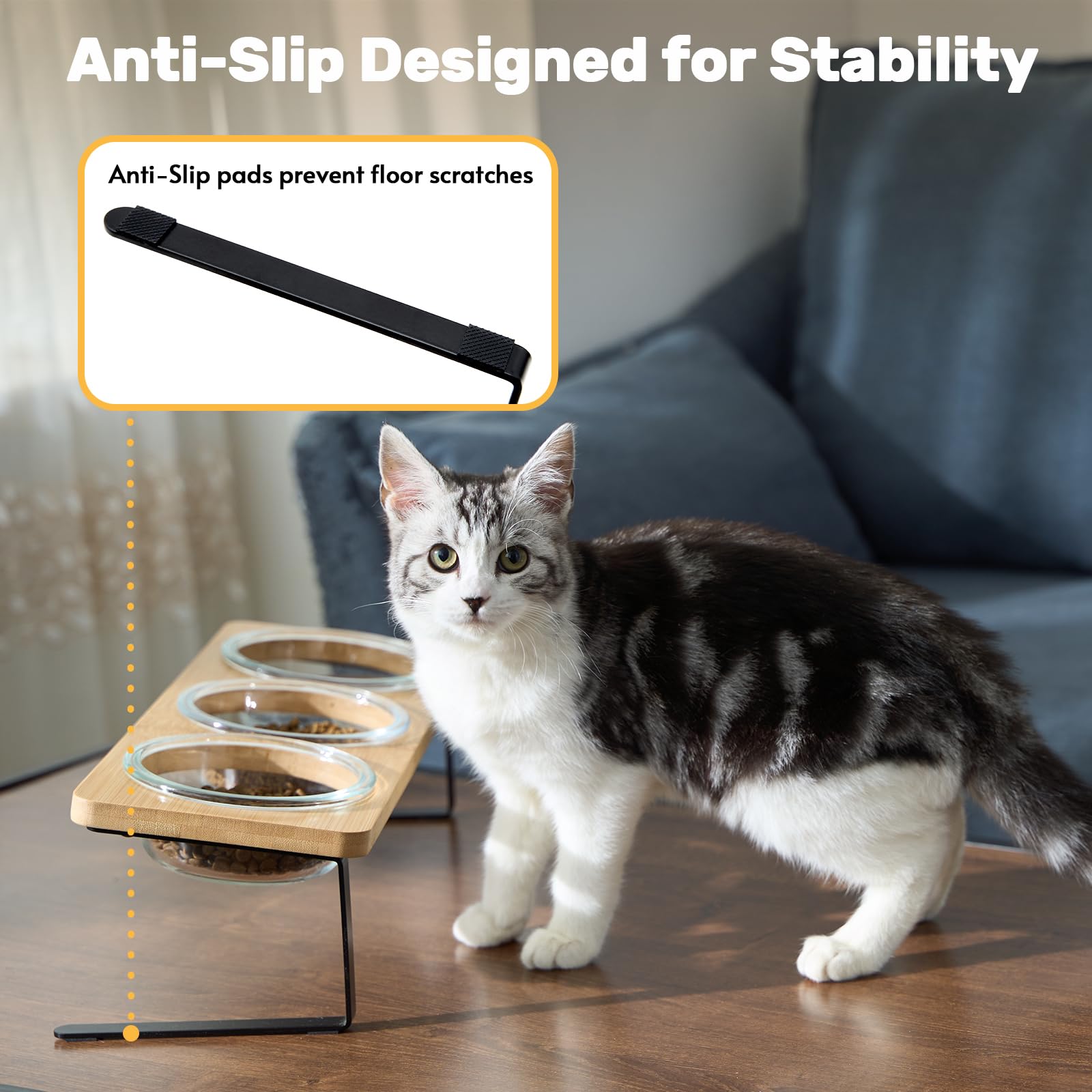 Lawfery elevated feeding setup helps keep meals neat and accessible.