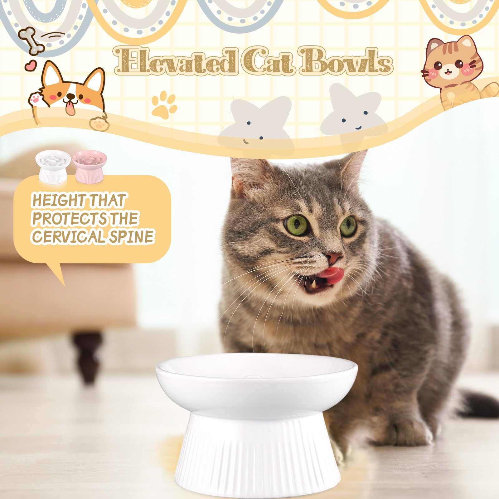 Layhit two-pack pet bowls stacked in package ready for gifting for cat lovers.