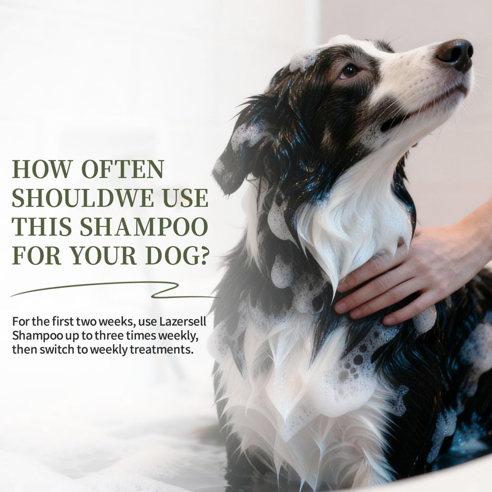 Lazersell formula nourishes fur for softness.