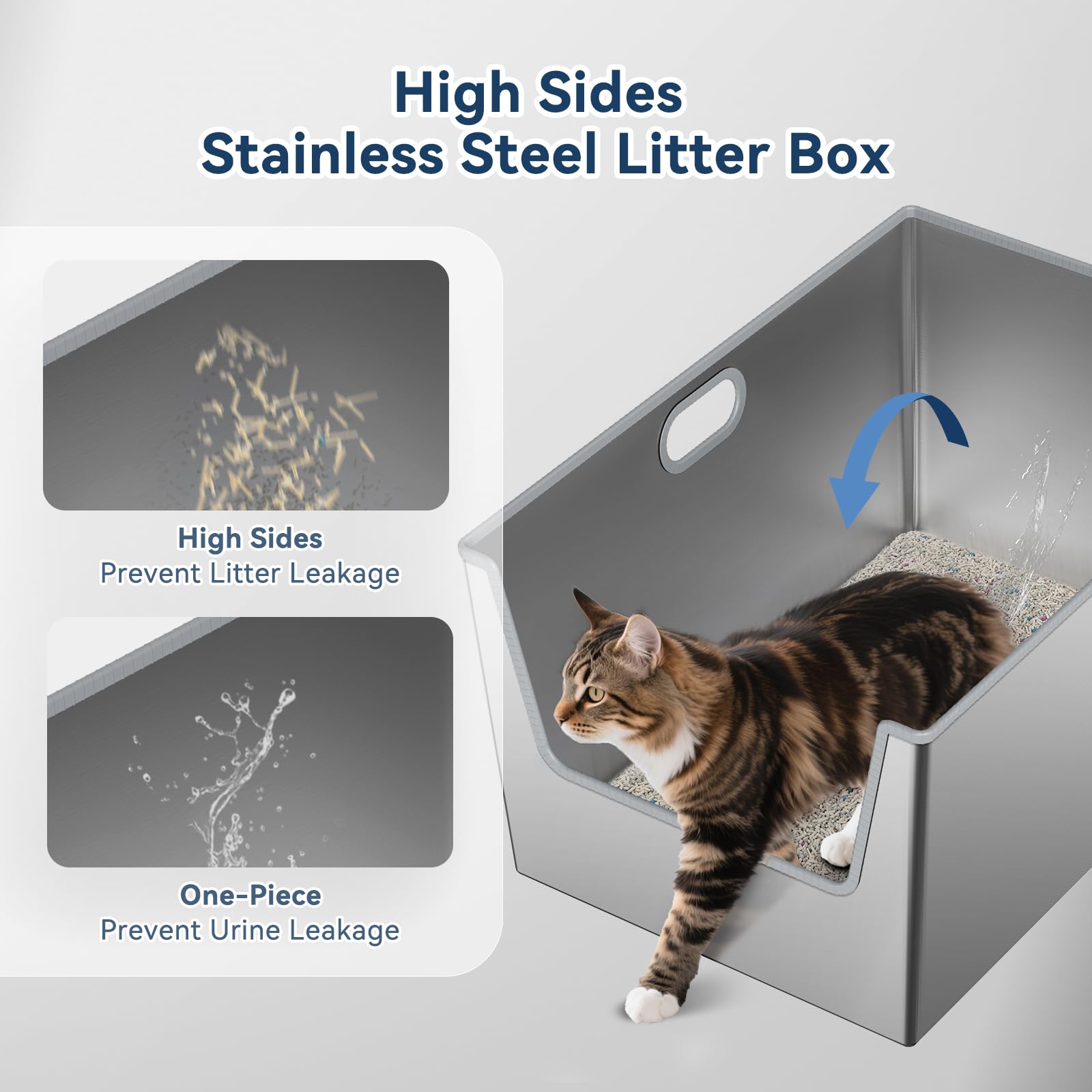LBXZen XXL space shows large interior perfect for Maine Coon cats.