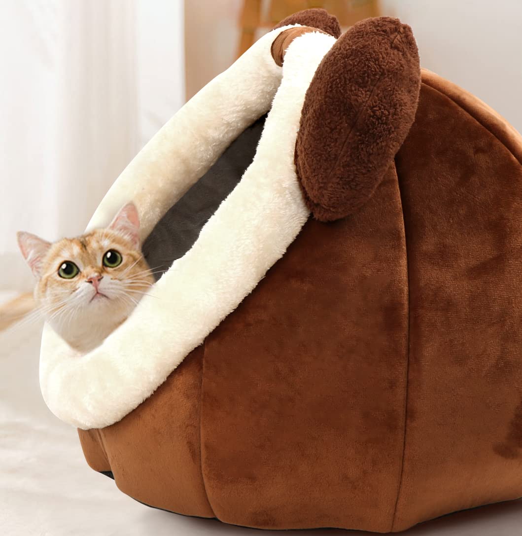 Lcybem large size option suits growing cats or multi-pet homes