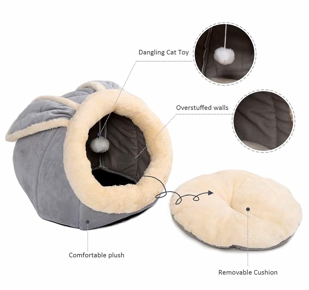 Lcybem suitable for indoor cats and small breeds, ideal multi-pet homes.