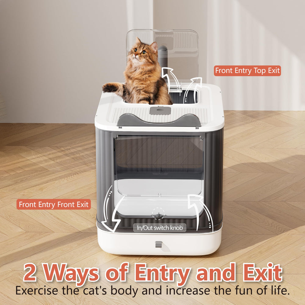 LCZLBRRD entry-exit knob on litter box offers flexible entrance options.
