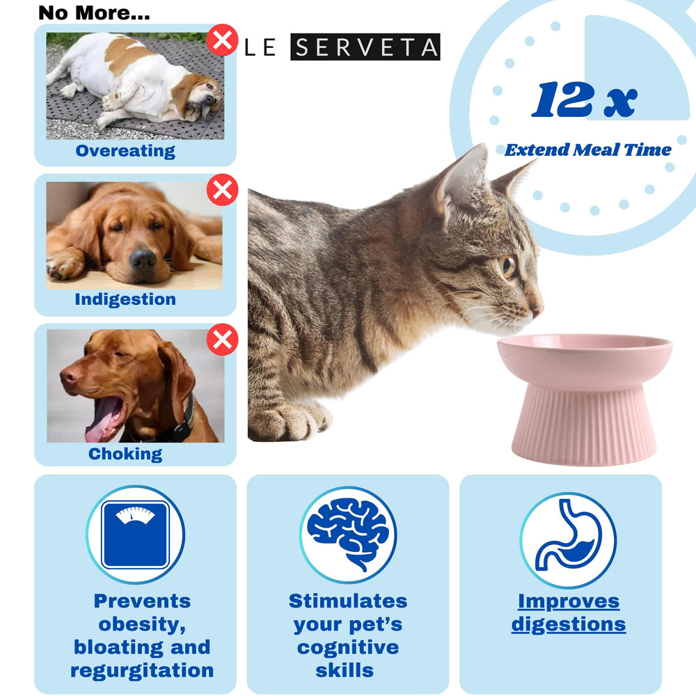 Le Serveta cat bowl pink whisker-friendly design minimizes whisker fatigue during meals.