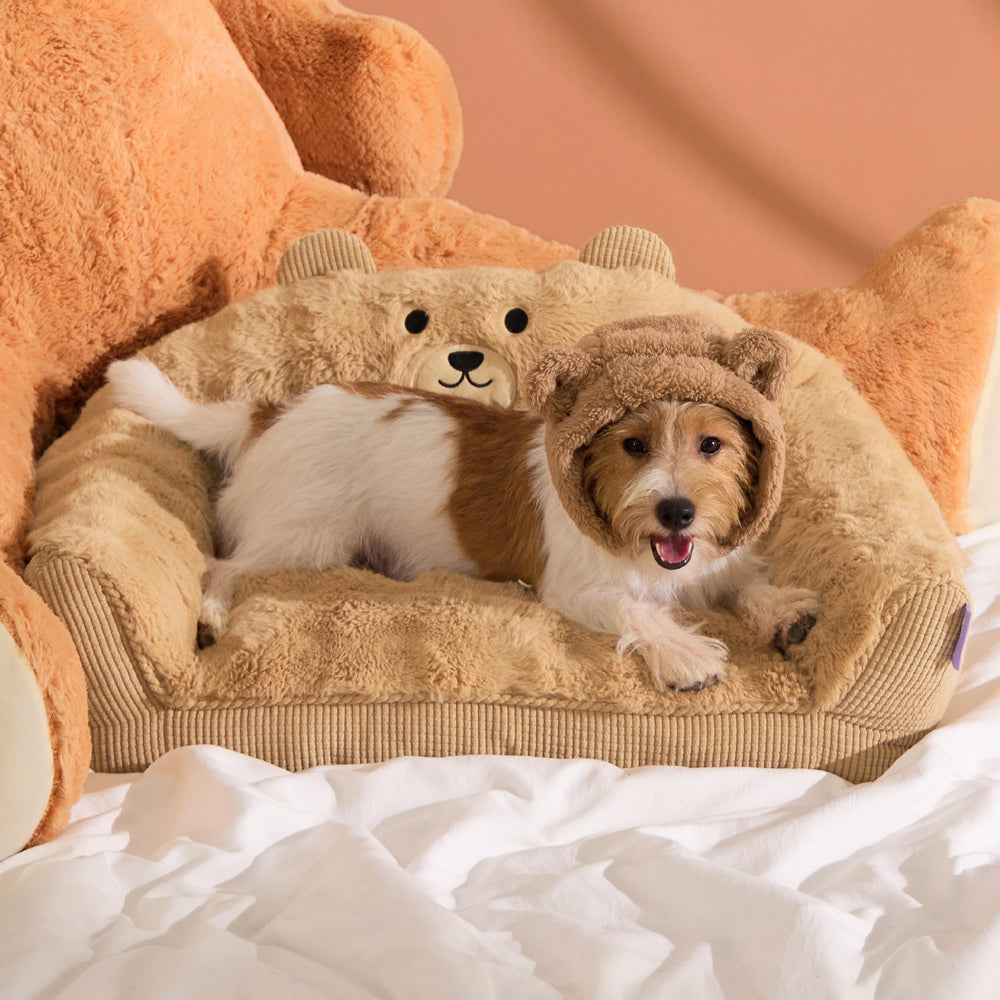 LE SURE bear-design dog bed front view provides cozy snuggle space for pets