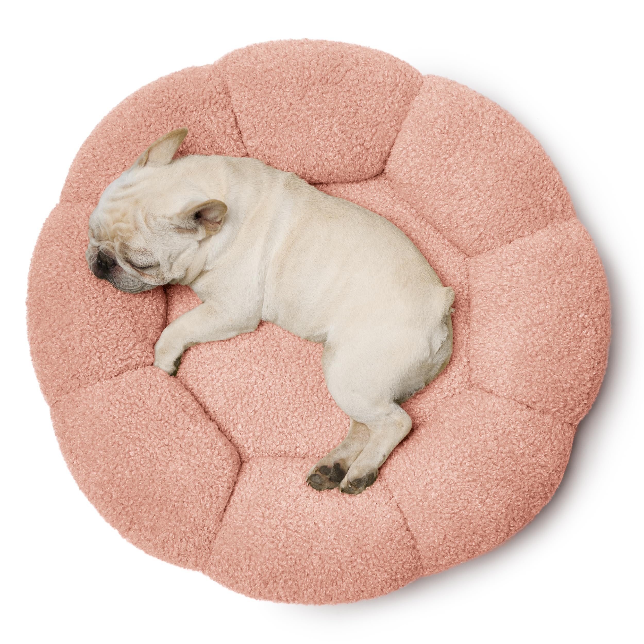 LE SURE Bed Fits Pets Up to 45 lbs for Relaxed Lounging and Play Recovery.