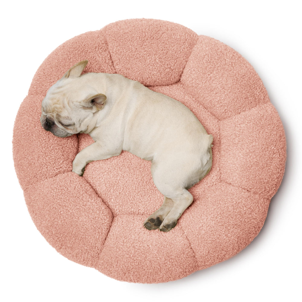 LE SURE Bed Fits Pets Up to 45 lbs for Relaxed Lounging and Play Recovery.