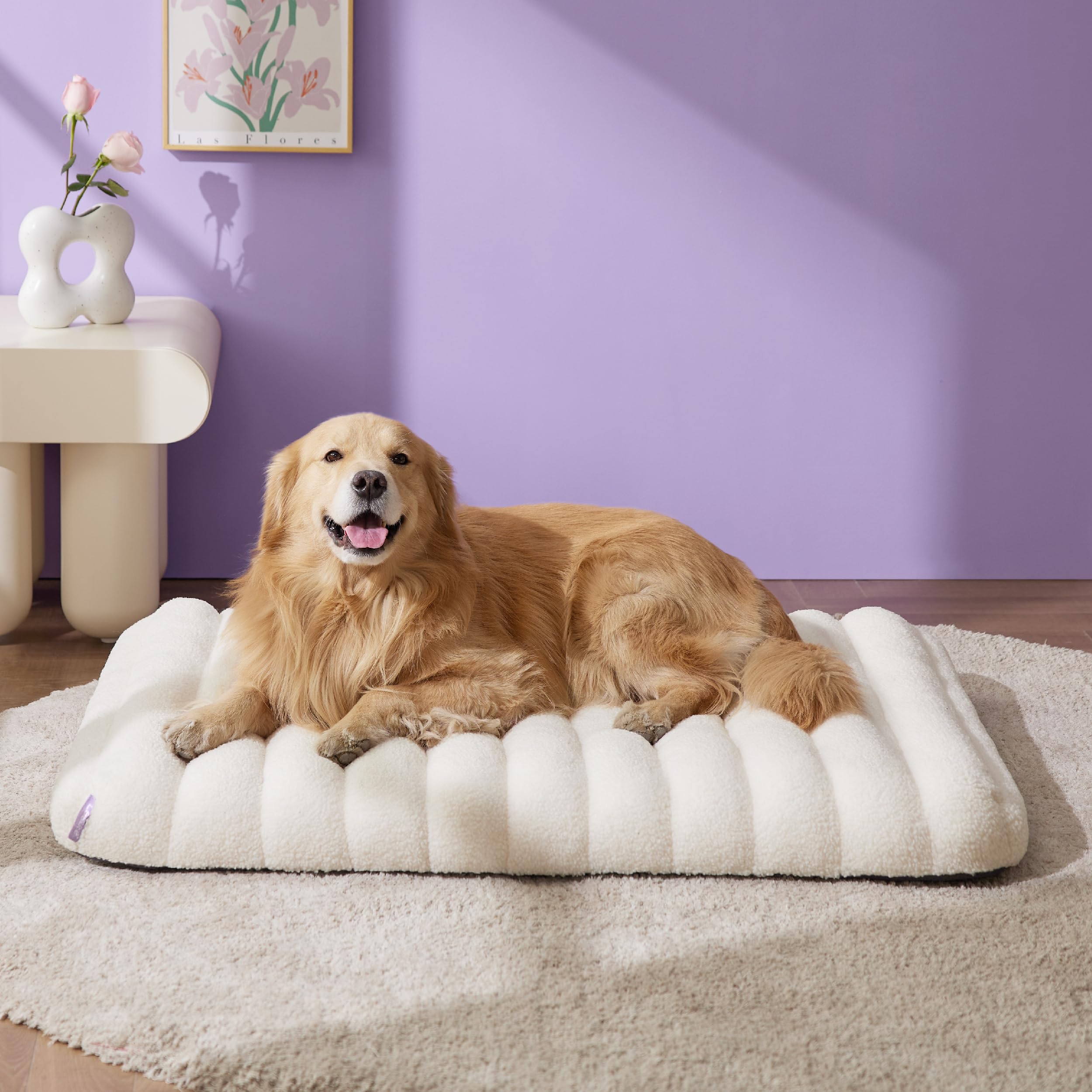 LE SURE bed removable cover demonstrates easy-clean fabric for busy homes