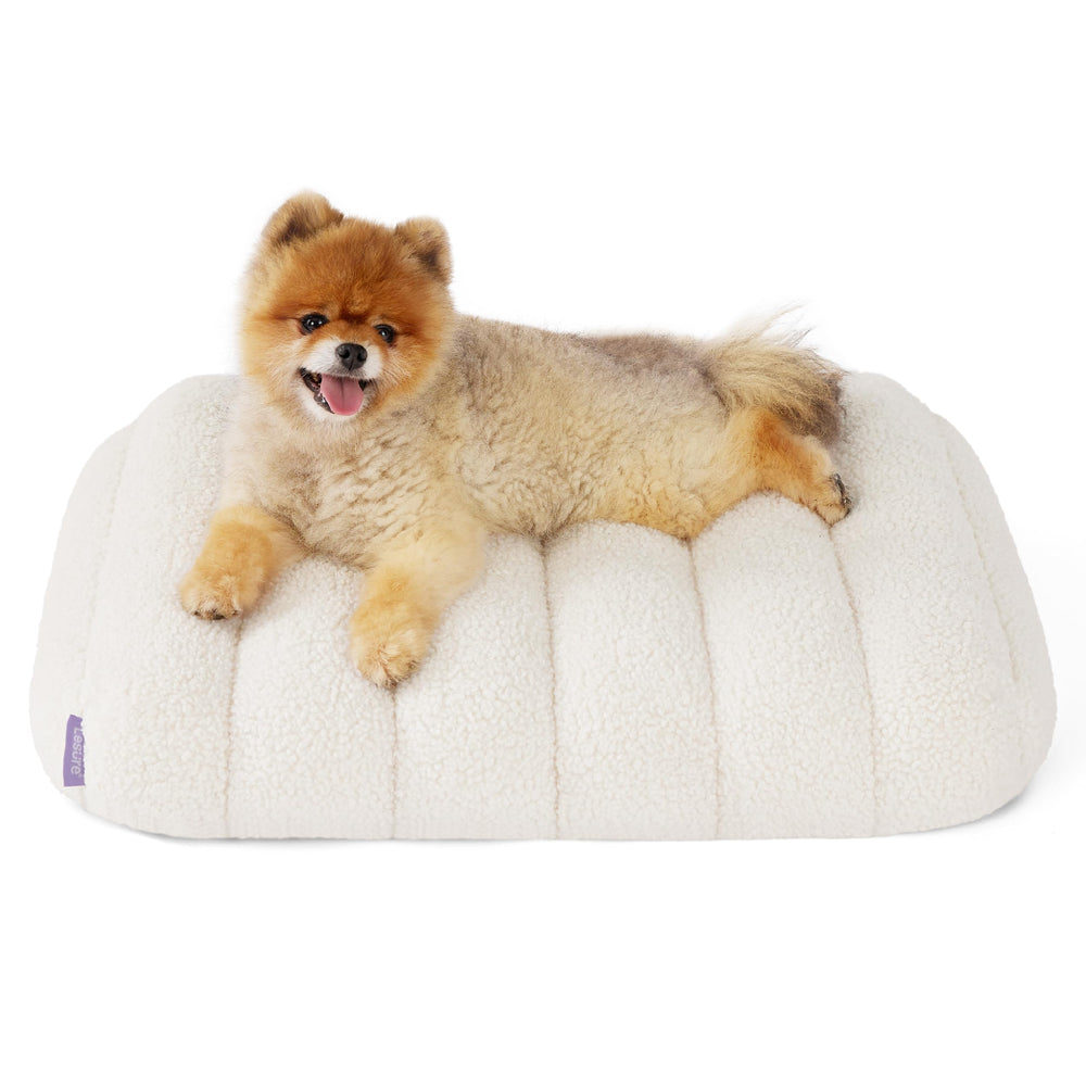 LE SURE Cute Orthopedic Dog Bed cream front view shows plush comfort for small dogs indoors.
